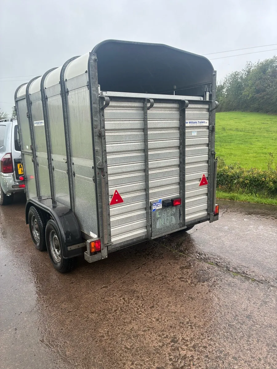 Ifor Williams Cattle / sheep Trailer - Image 3