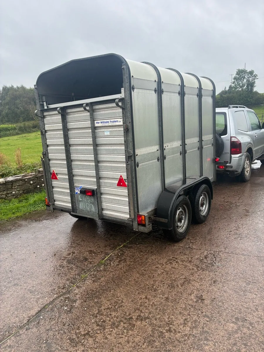 Ifor Williams Cattle / sheep Trailer - Image 4