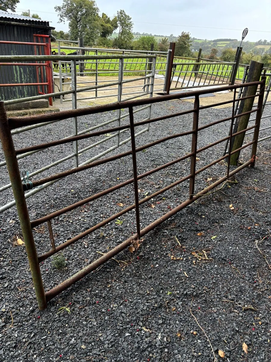 Farm gates - Image 1