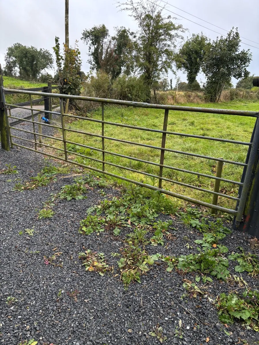 Farm gates - Image 2