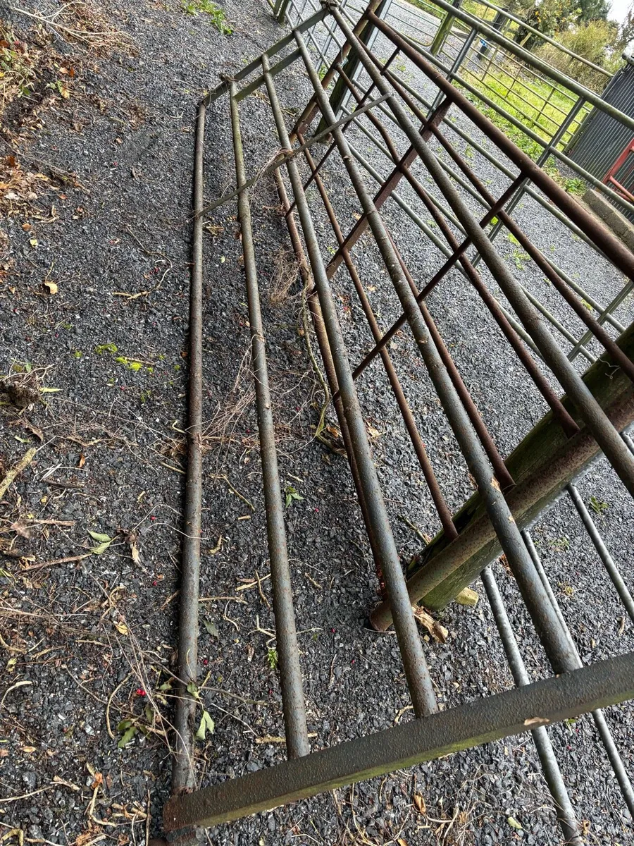 Farm gates - Image 3