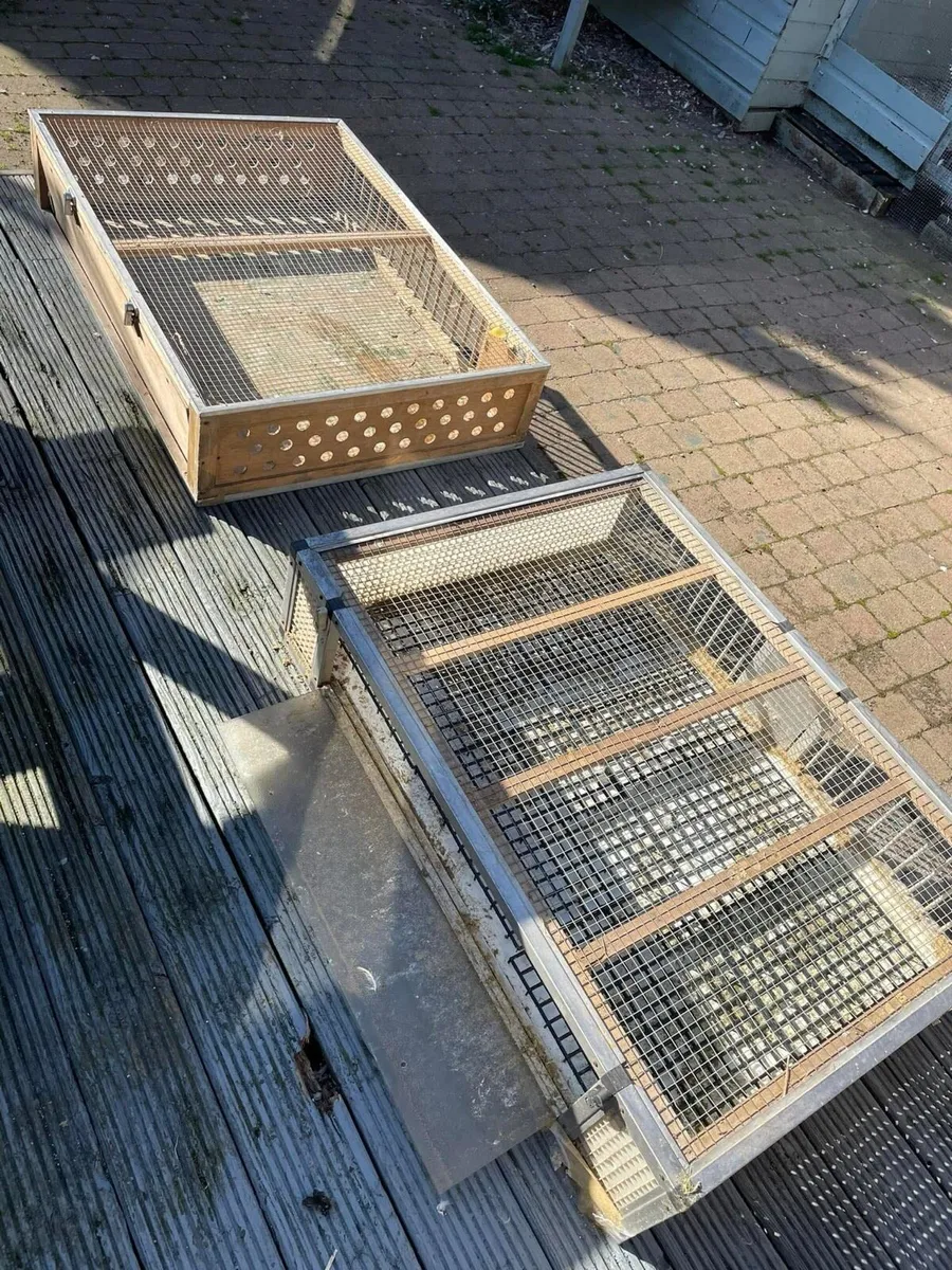Pigeon loft equipment - Image 1