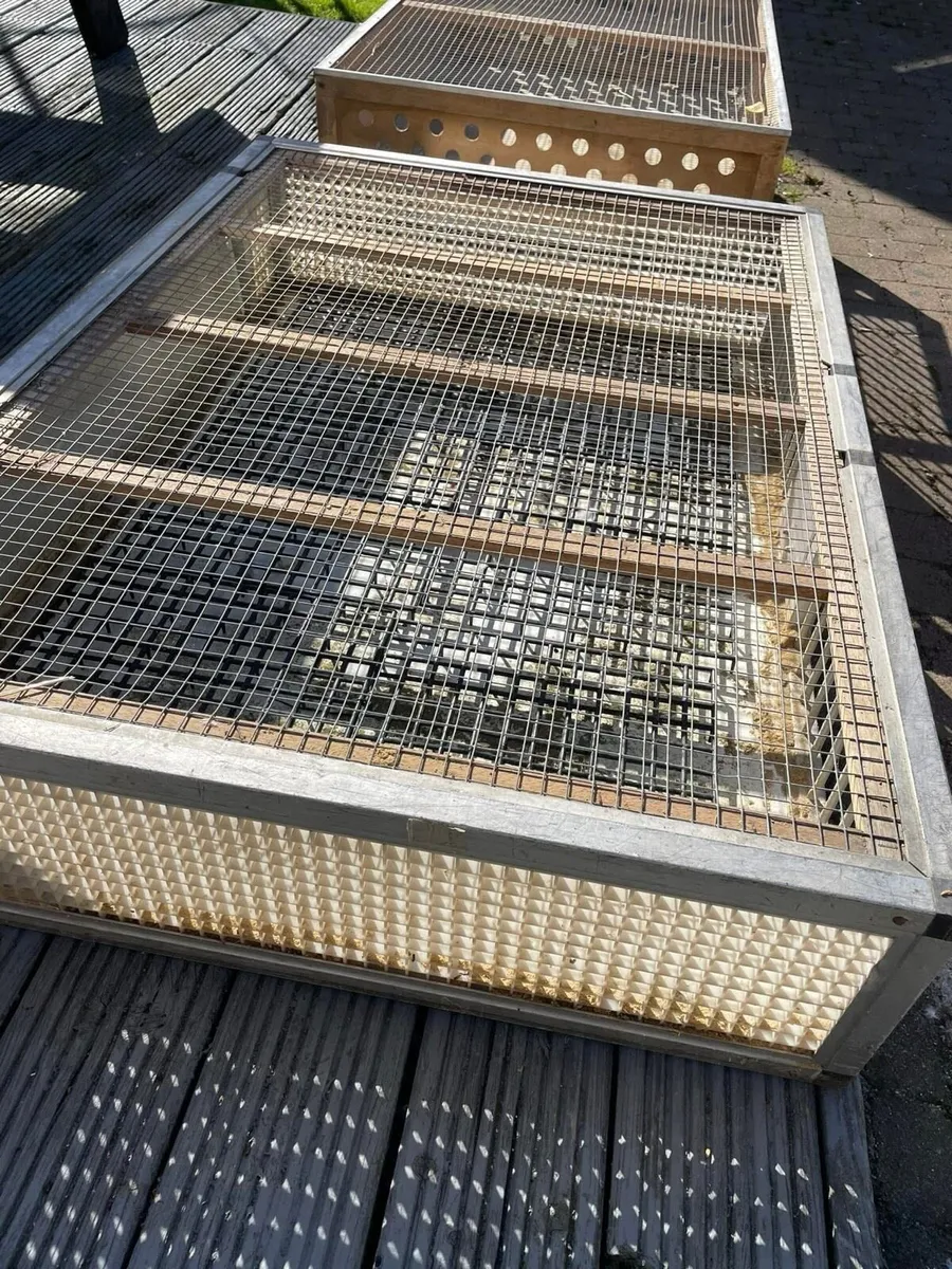 Pigeon loft equipment - Image 2