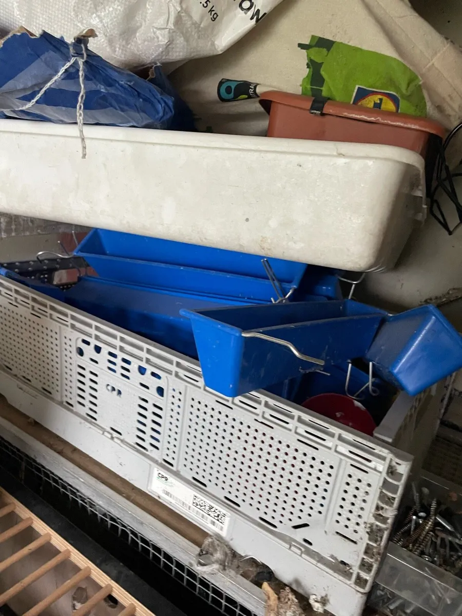 Pigeon loft equipment - Image 3