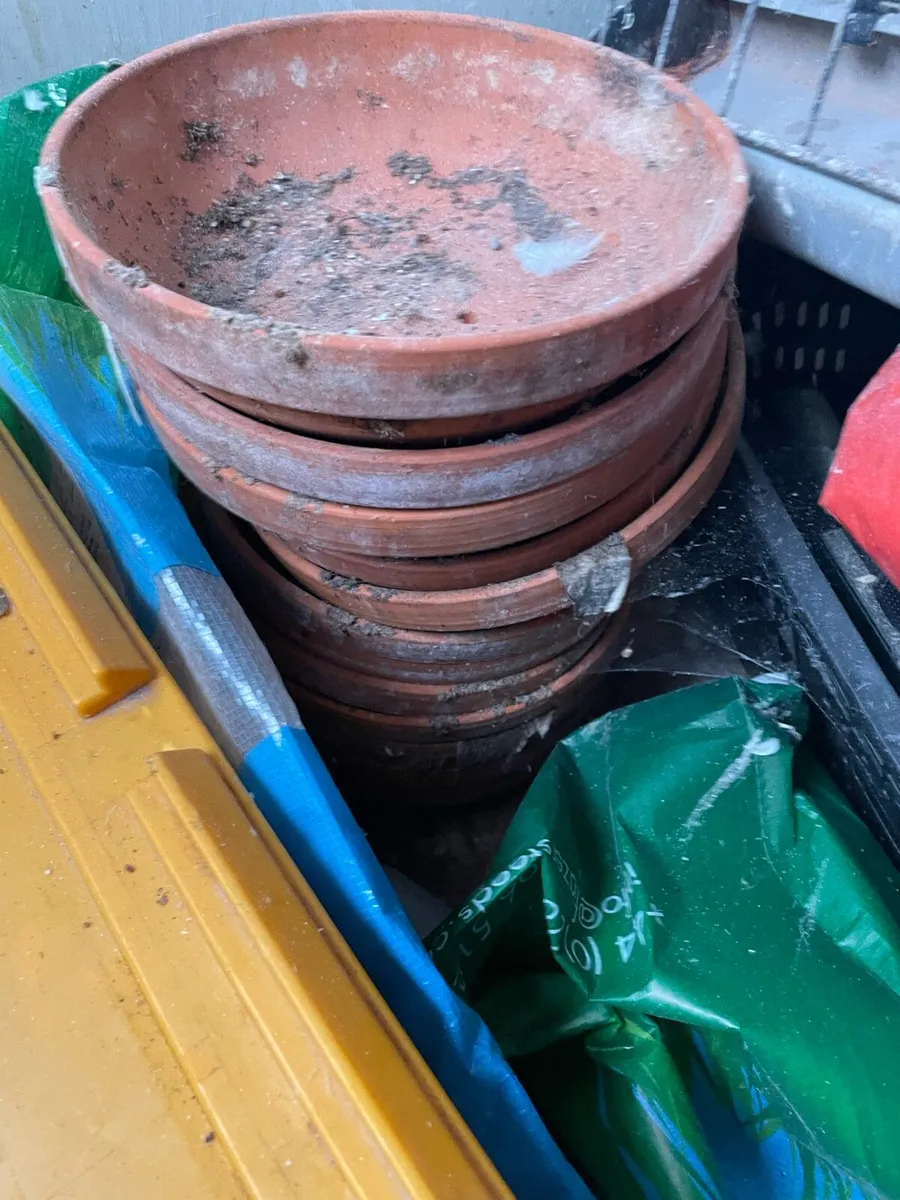 Pigeon loft equipment - Image 4