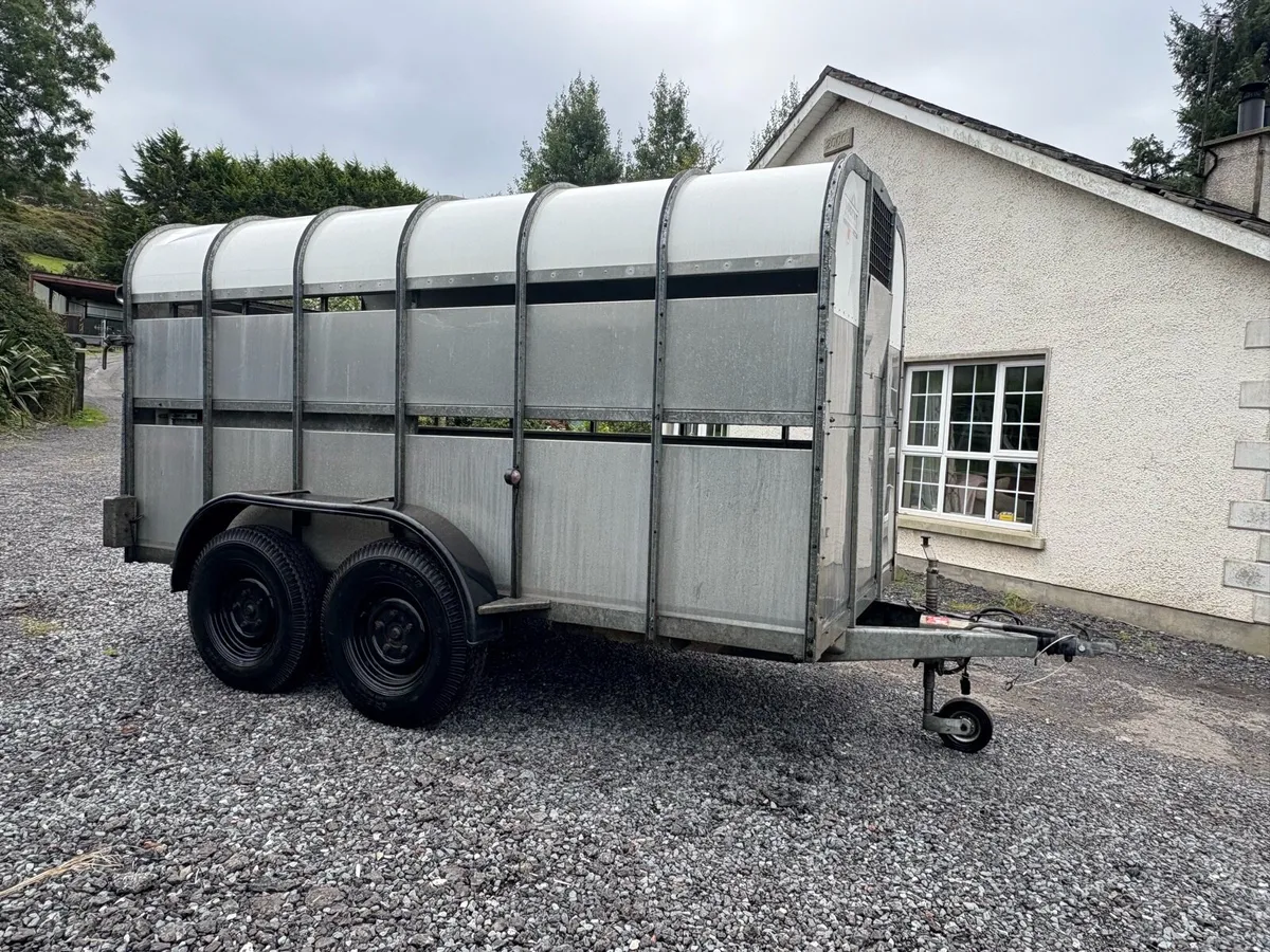 Nugent 12x6 Livestock Trailer - Image 2