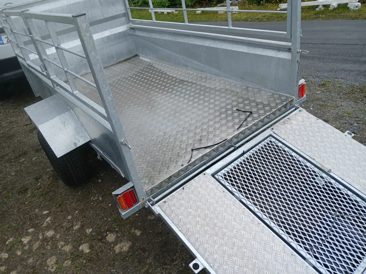 Trailer single axel new..ramp door - Image 4