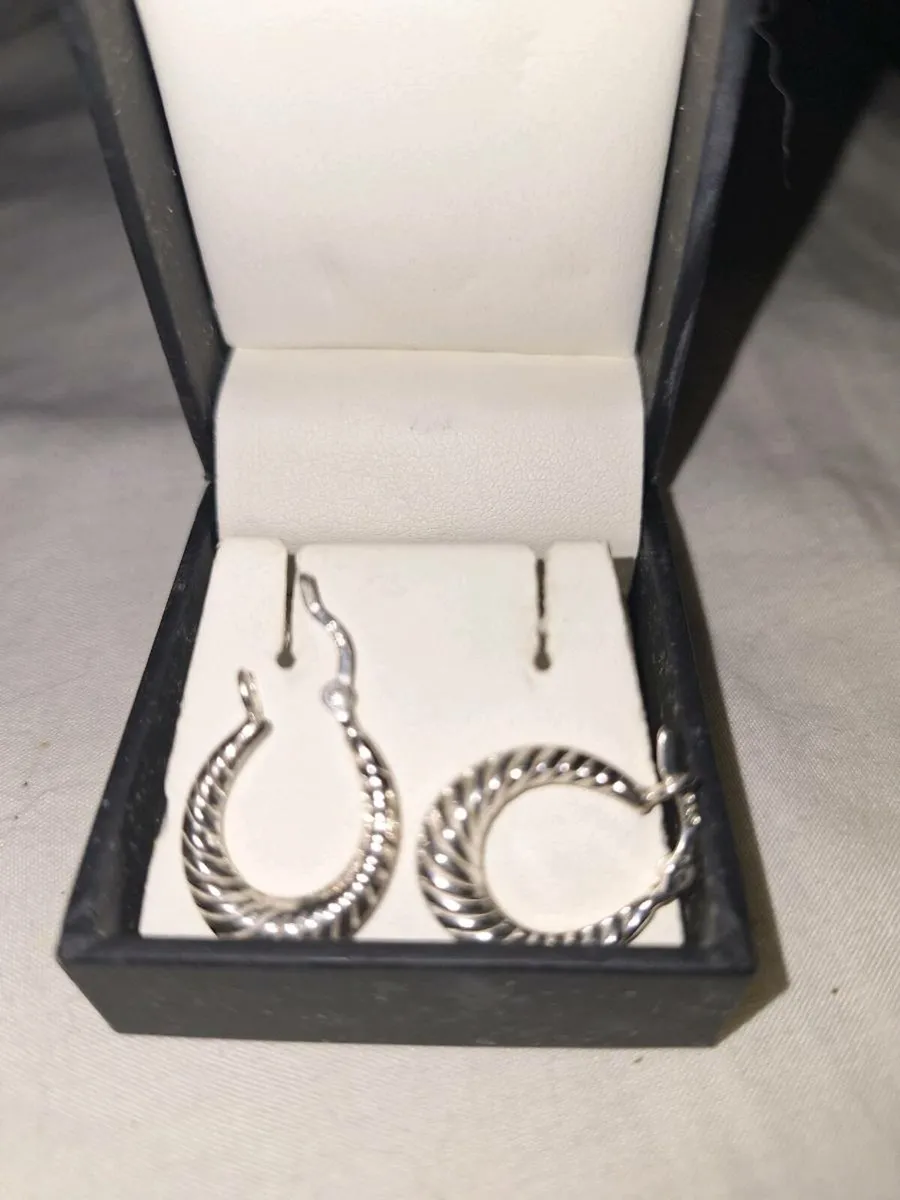Earrings - Image 1
