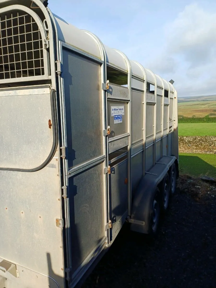 Ifor williams 14ft CATTLE TRAILER - Image 3