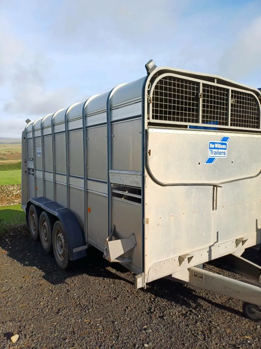 Ifor williams 14ft CATTLE TRAILER - Image 1