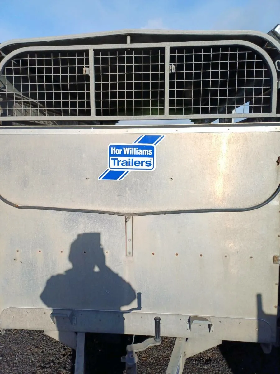 Ifor williams 14ft CATTLE TRAILER - Image 2