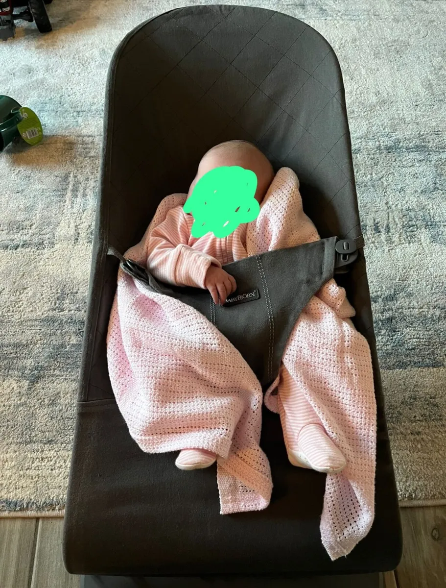 BabyBjorn Bouncer - Image 2
