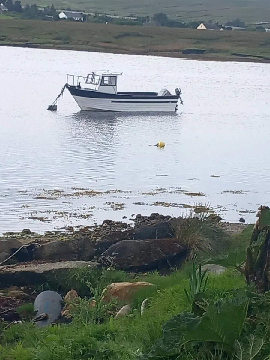 Fibreglass boat 22ft - Image 1