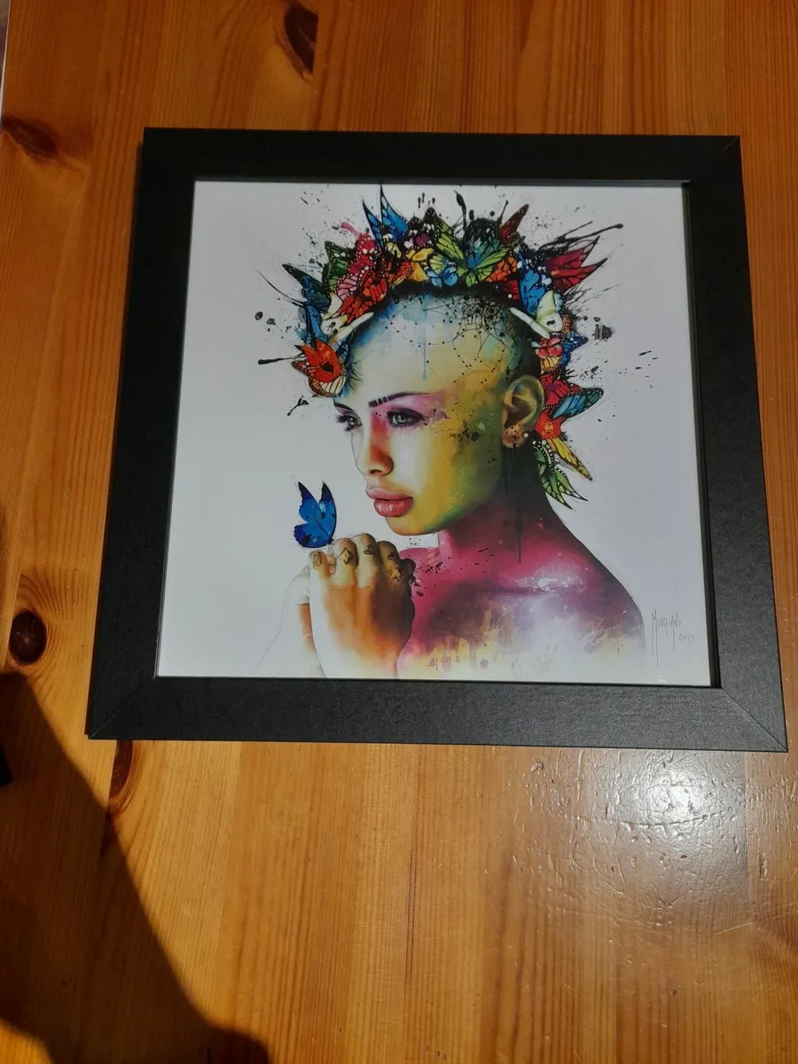 Framed pictures - Image 1