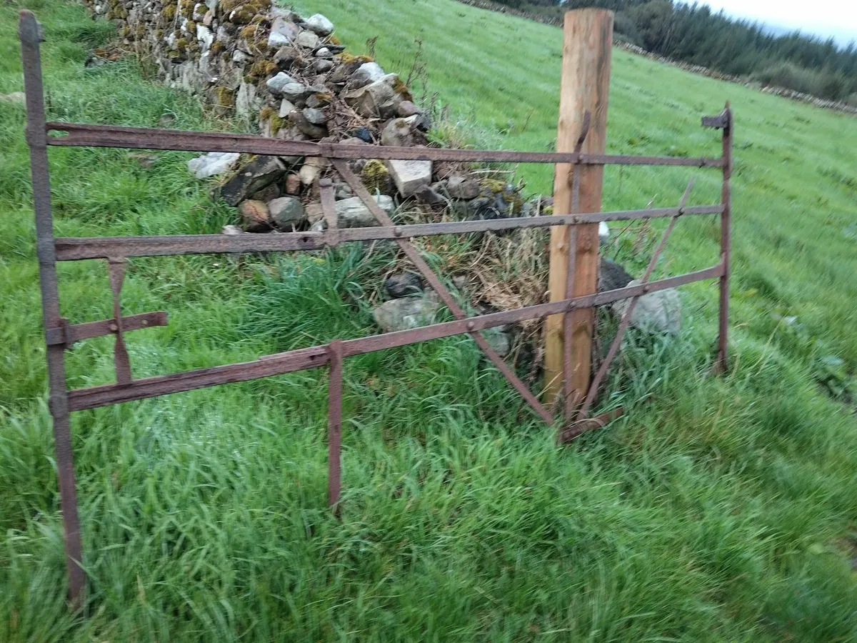 Wrought Iron gates - Image 2