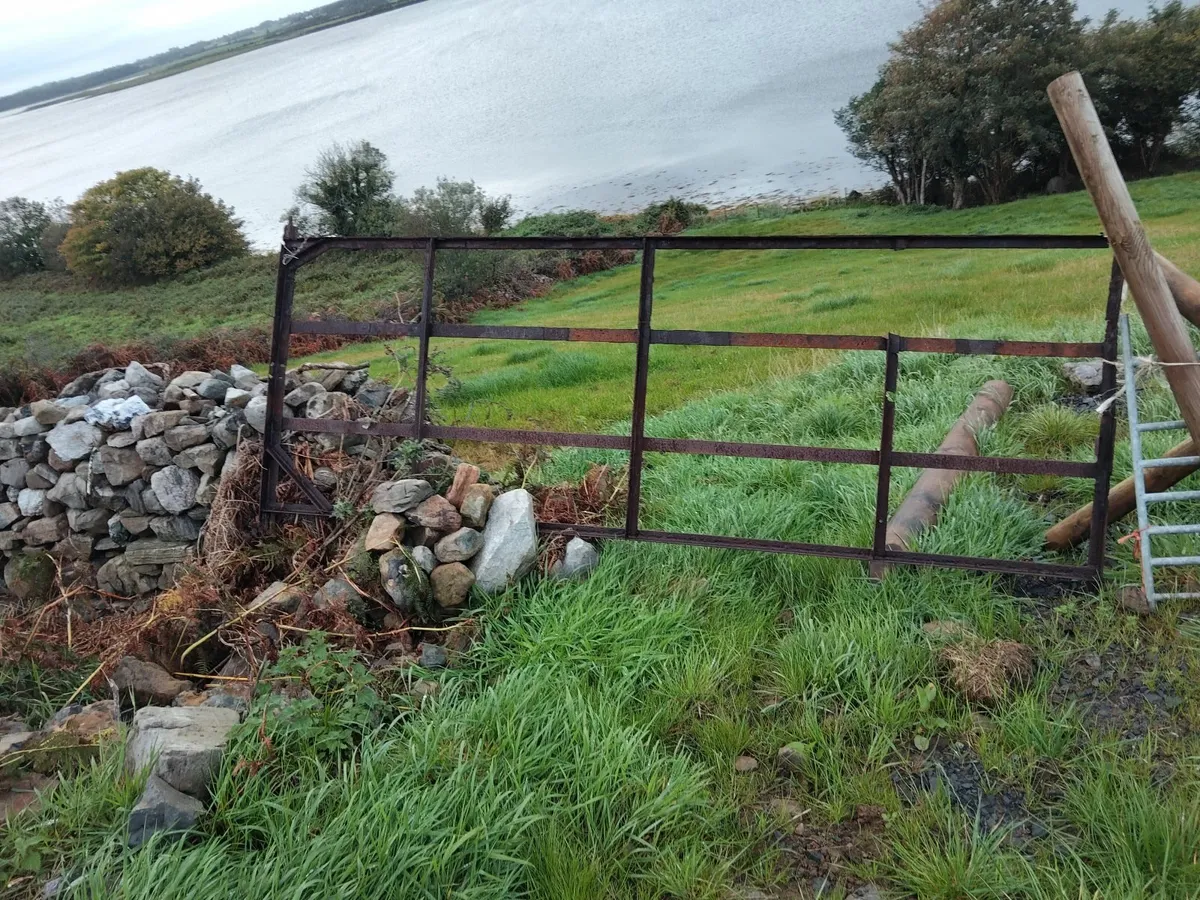 Wrought Iron gates - Image 3