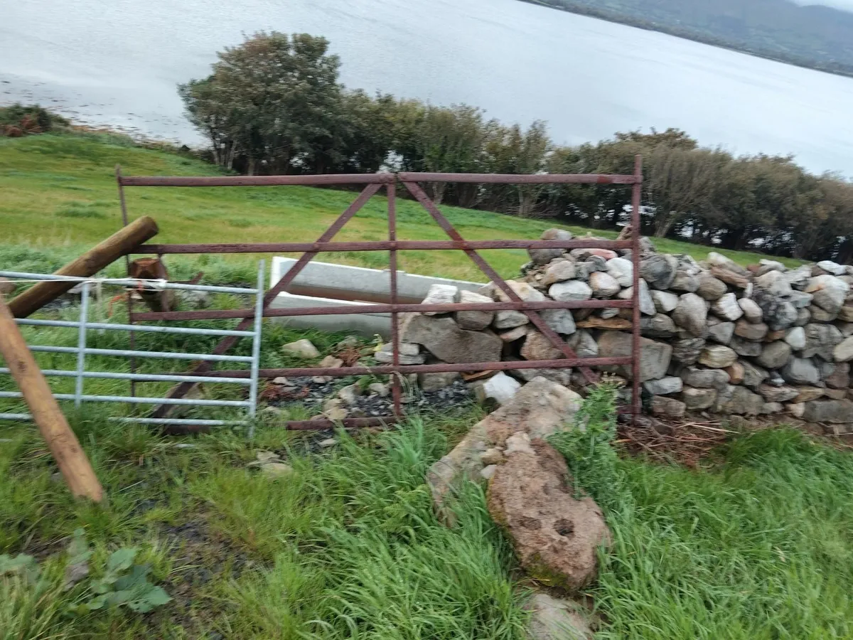 Wrought Iron gates - Image 1