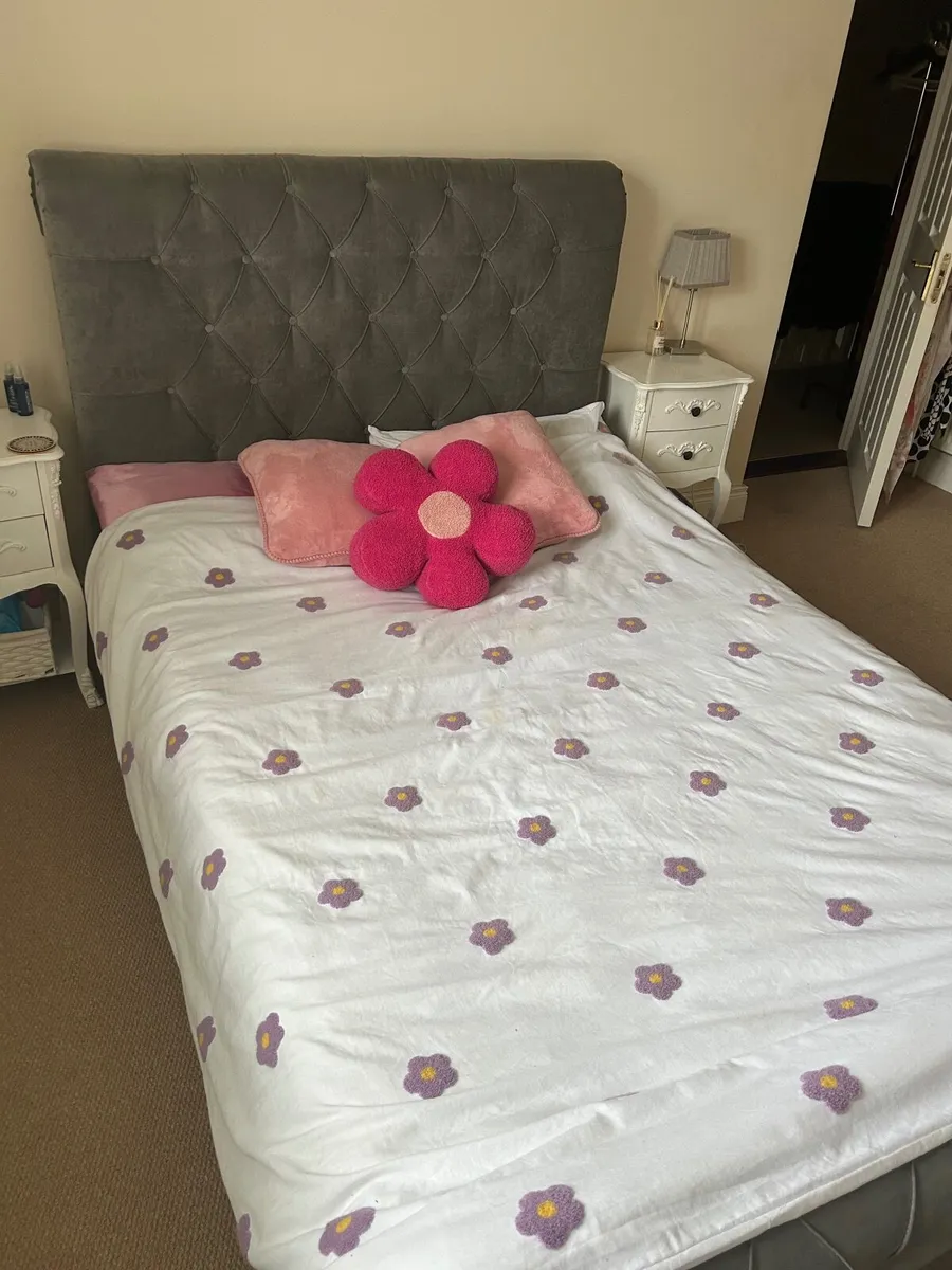 Grey Velvet Double Bed - Image 2