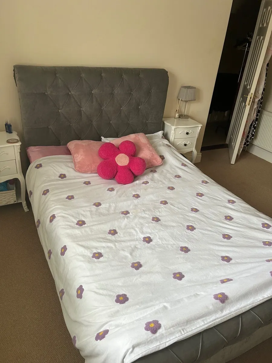 Grey Velvet Double Bed - Image 4