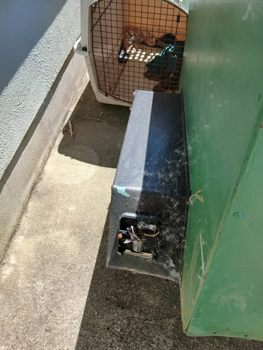 Dog traiĺer - Image 2