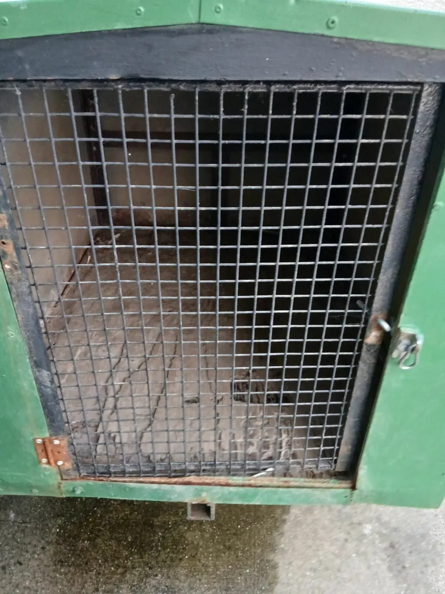 Dog traiĺer - Image 3