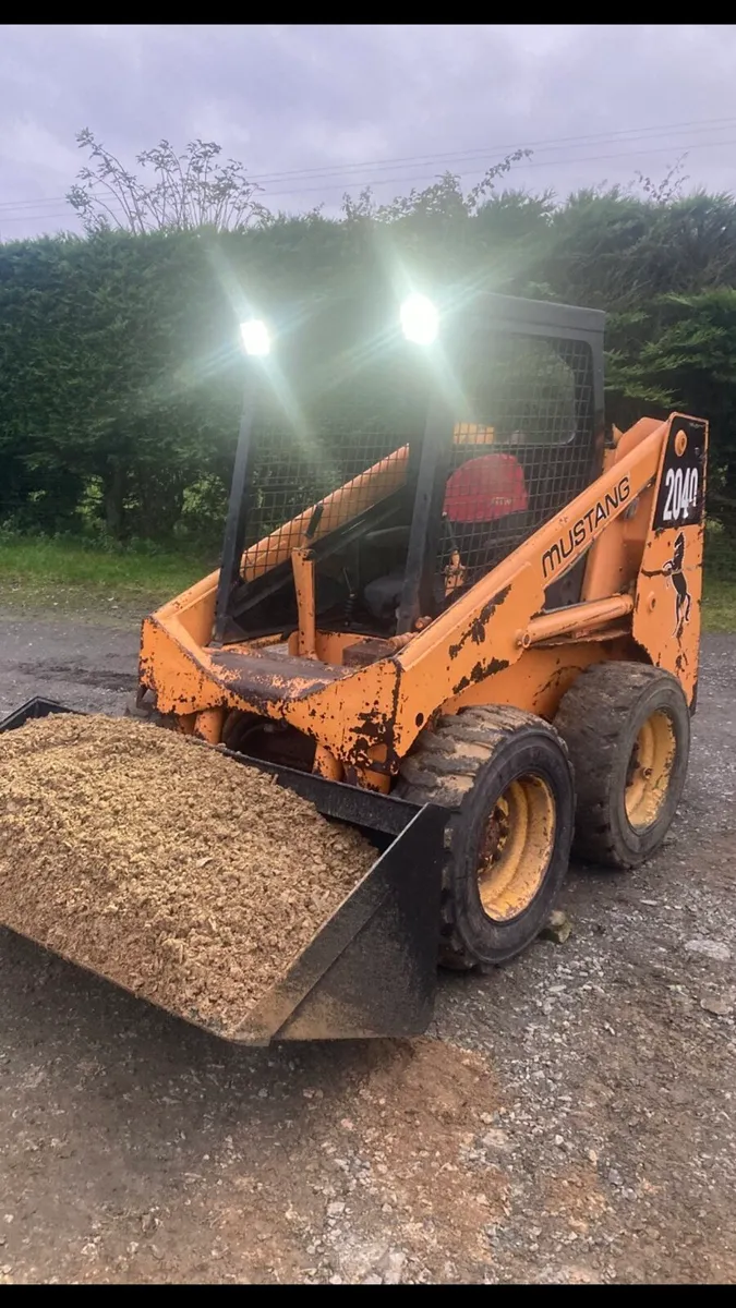Skidsteer loader WANTED,  needing repair may suit - Image 1