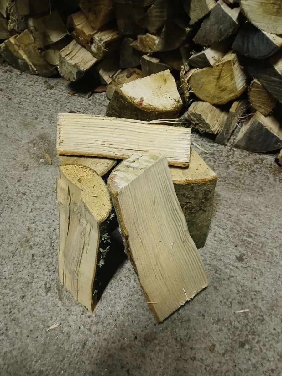 Firewood - Image 1