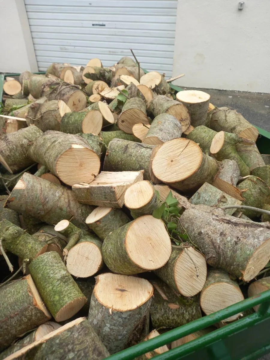 Firewood - Image 2