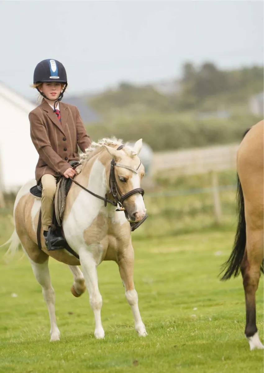 pony - Image 4