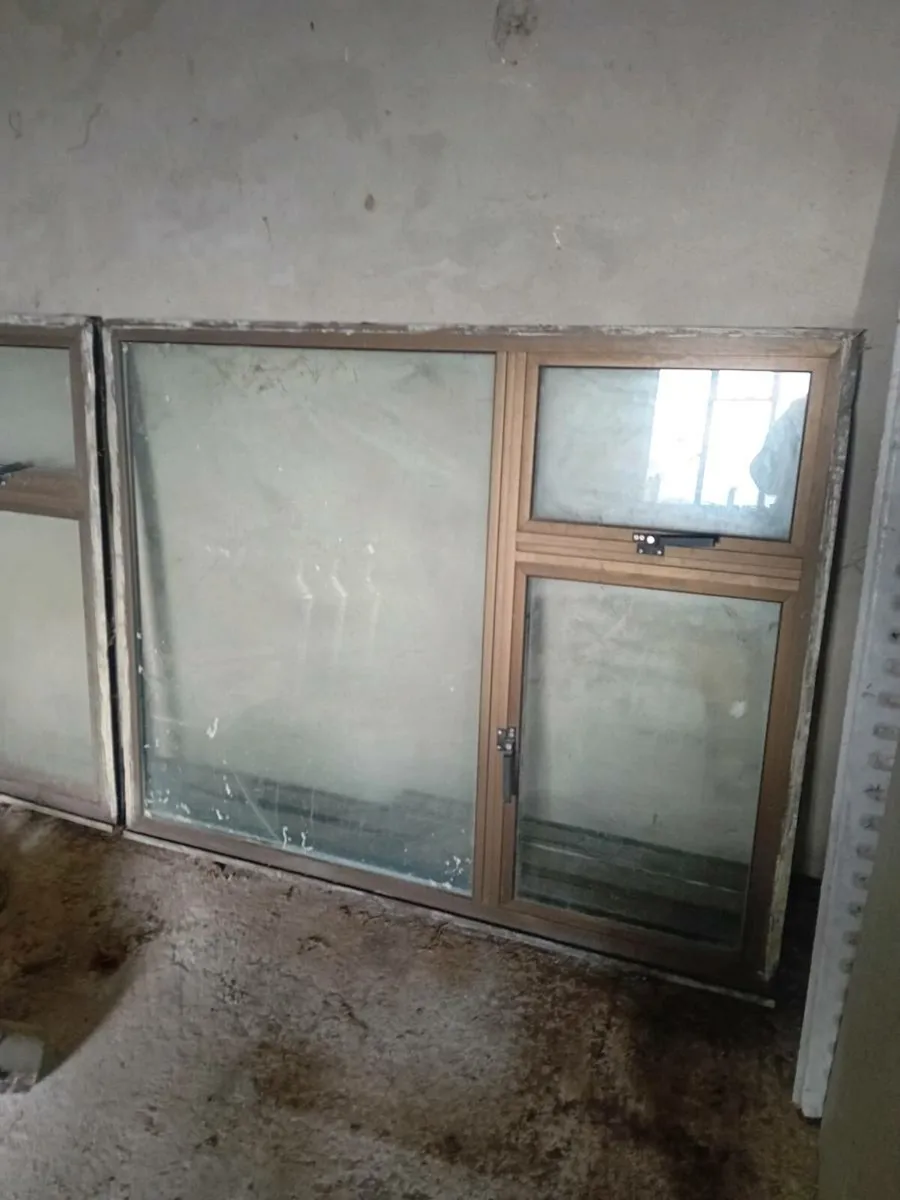2 aluminum windows and 1 door - Image 1