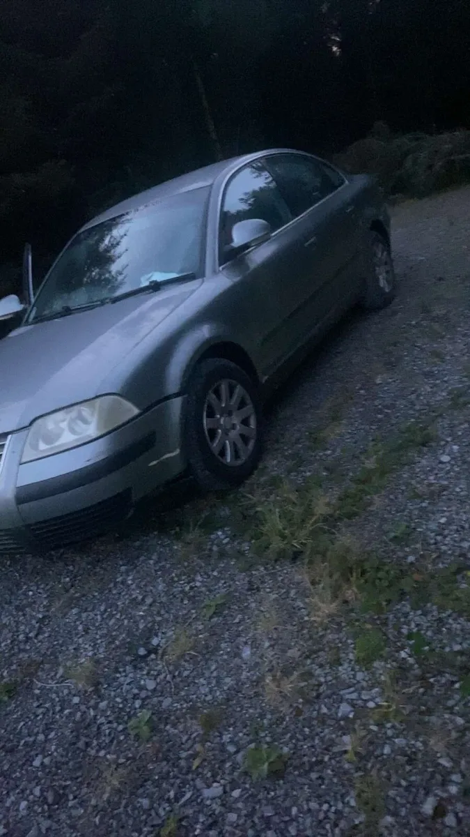 B5 Passat pd130 - Image 1