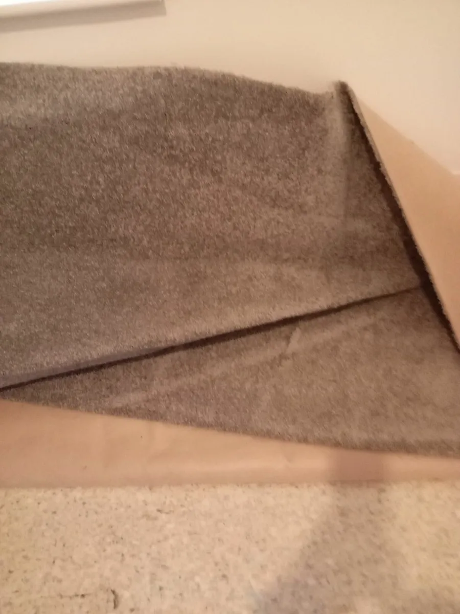 New carpet