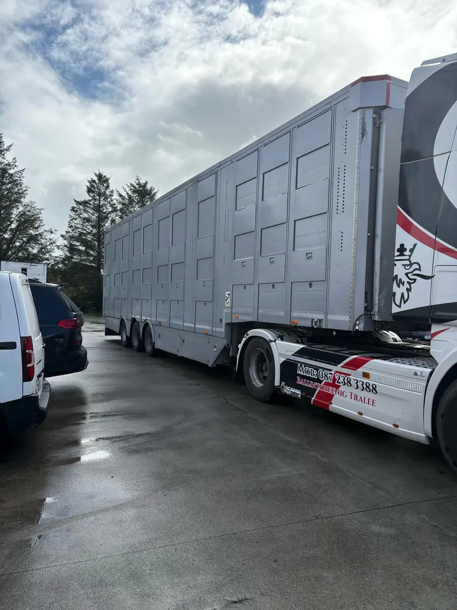Michieletto livestock trailer 45ft 2015 - Image 1