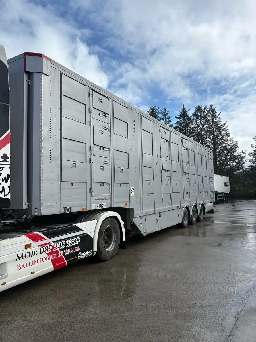 Michieletto livestock trailer 45ft 2015 - Image 2