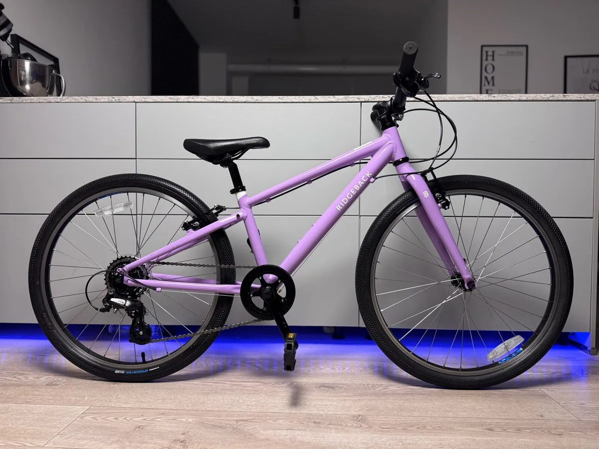 Ridgeback Dimension Junior Bike 24 inch - Image 1