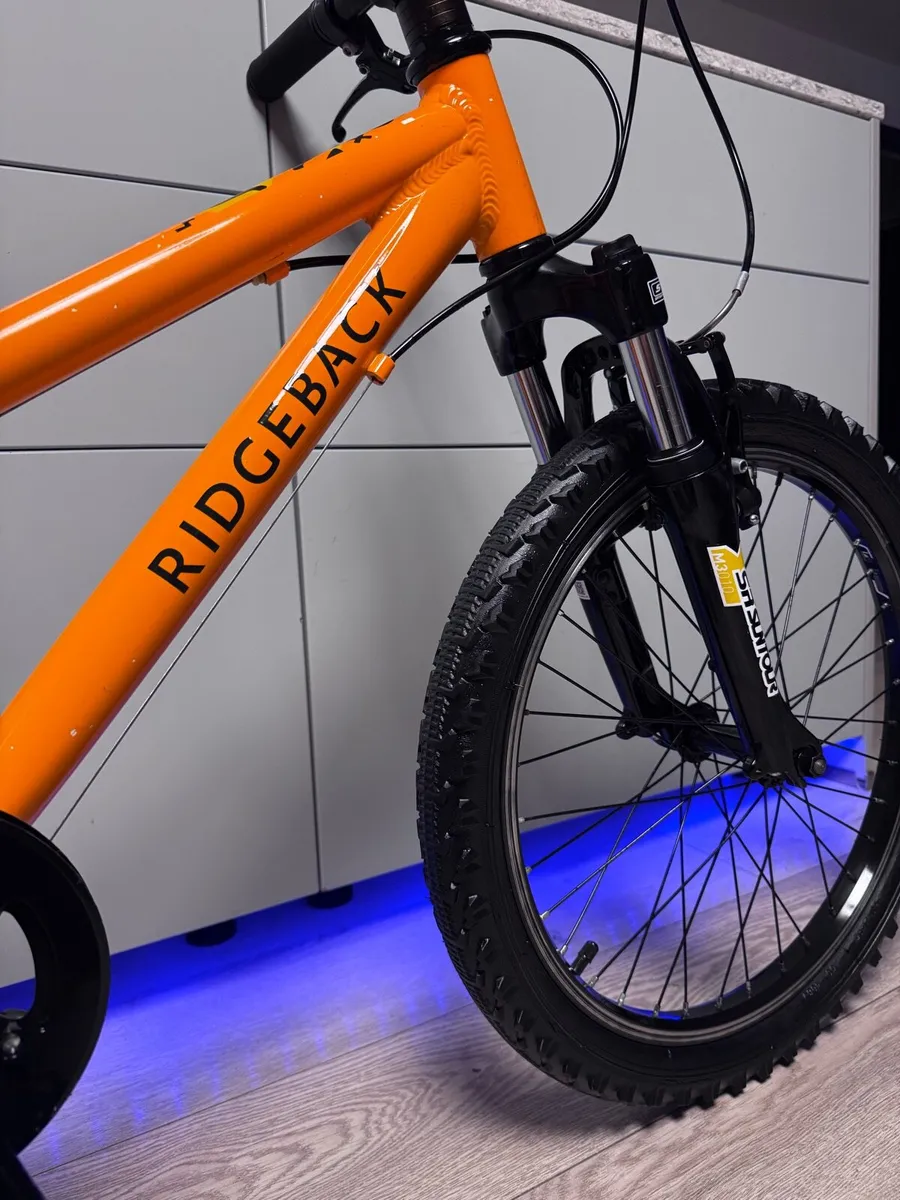Ridgeback MX20 Kids Bike 20 inch - Image 3