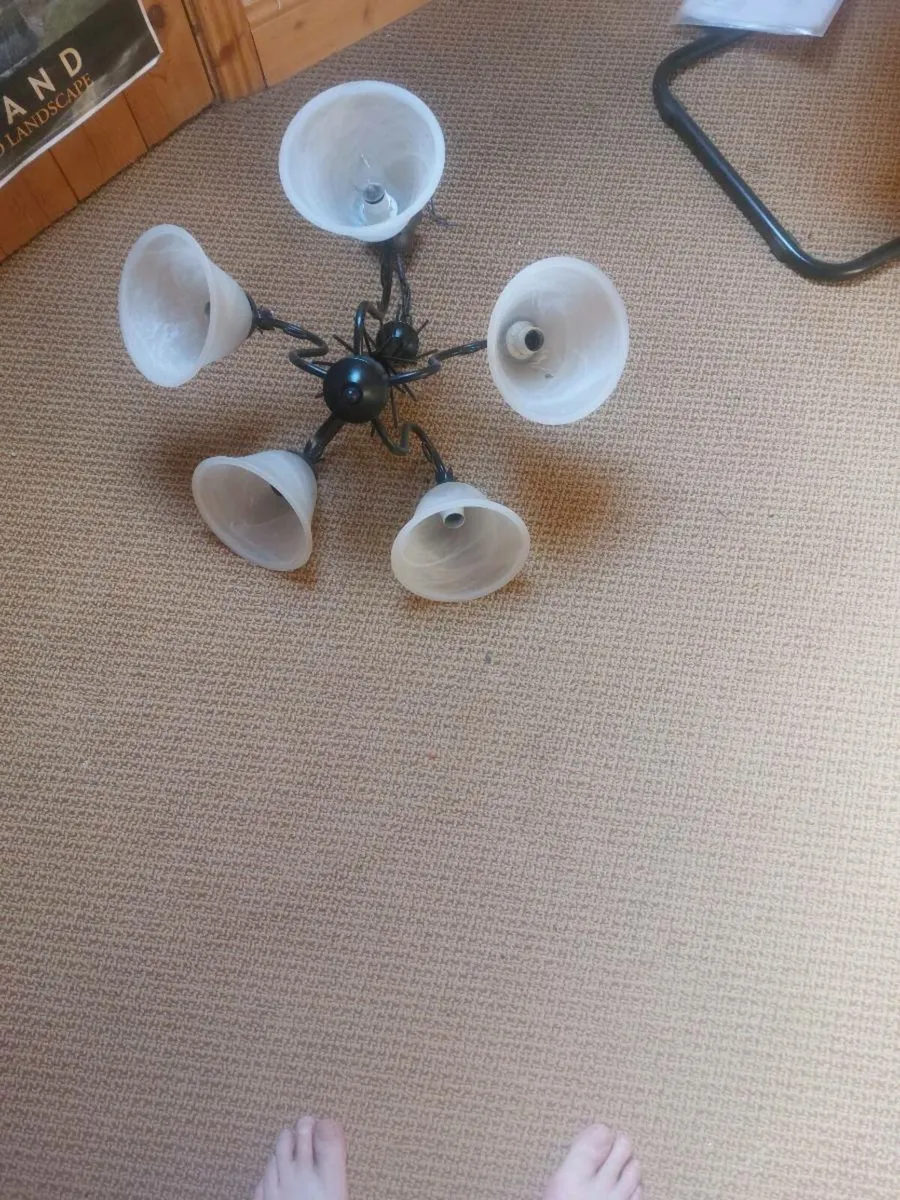 Hanging light for sale - Image 3