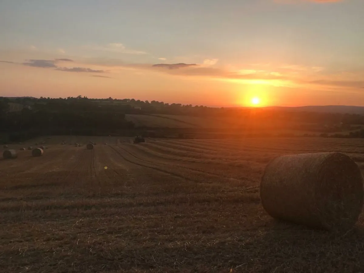 Straw - Image 2