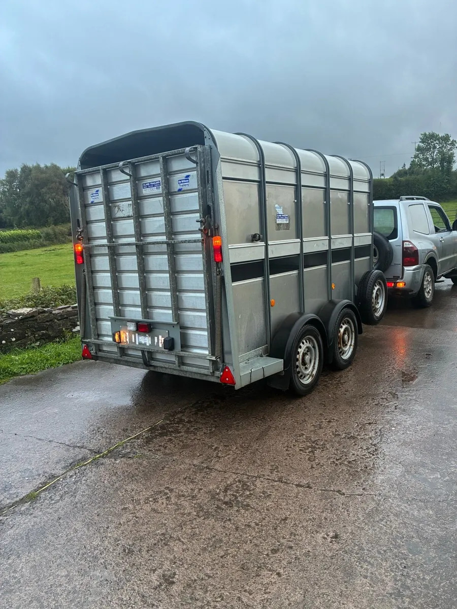 Ifor Williams cattle / sheep trailer - Image 3