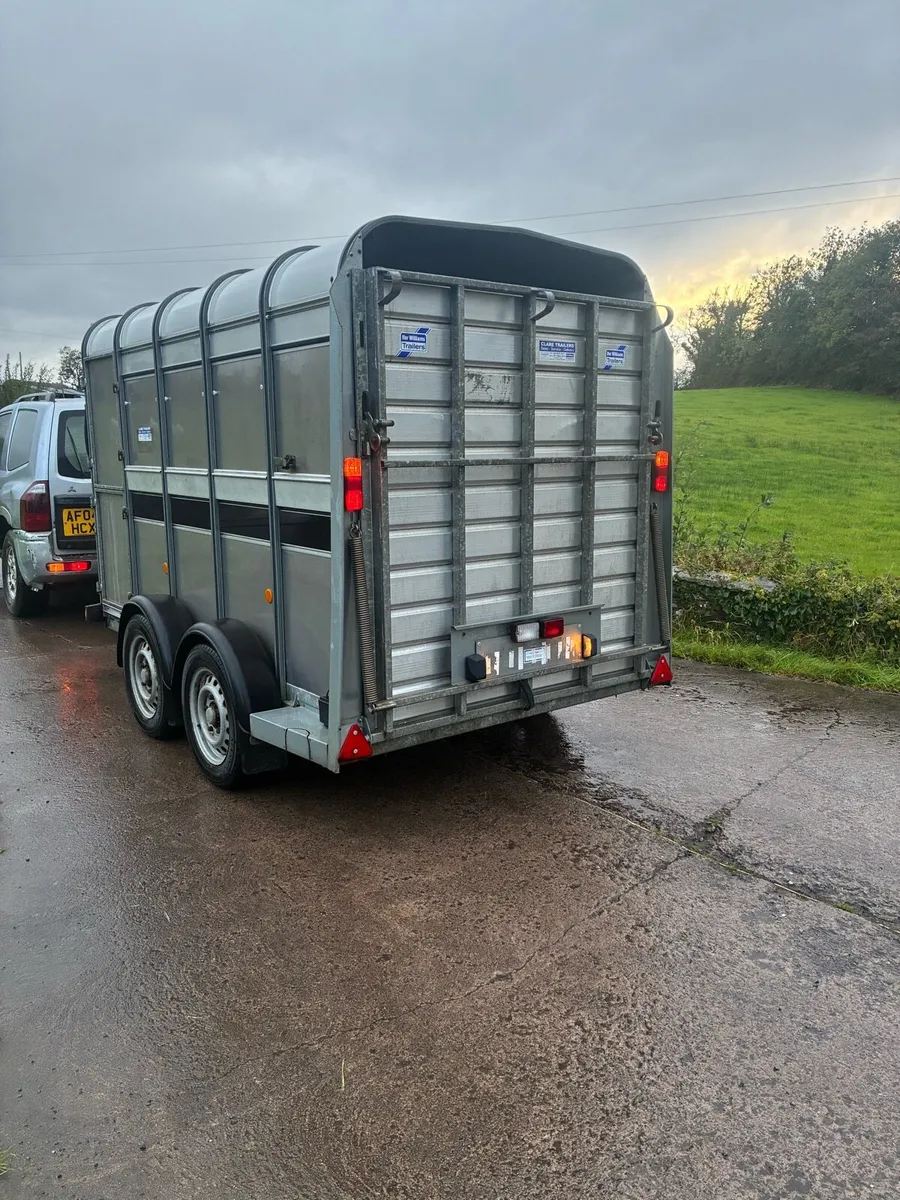 Ifor Williams cattle / sheep trailer - Image 4