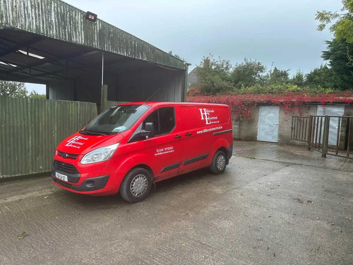 Ford Custom Van - Image 1