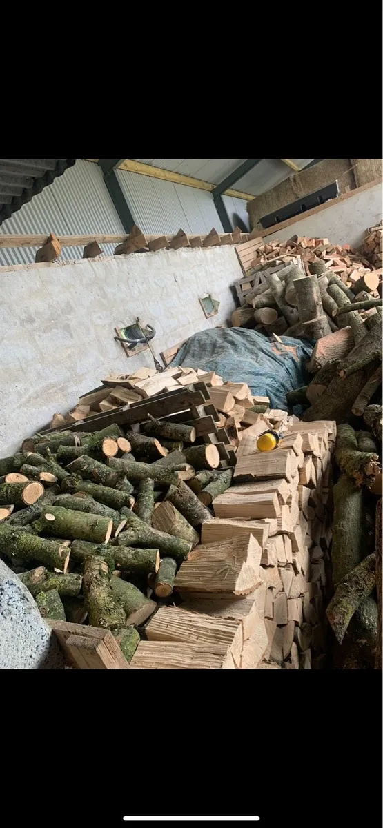 Ash firewood - Image 2
