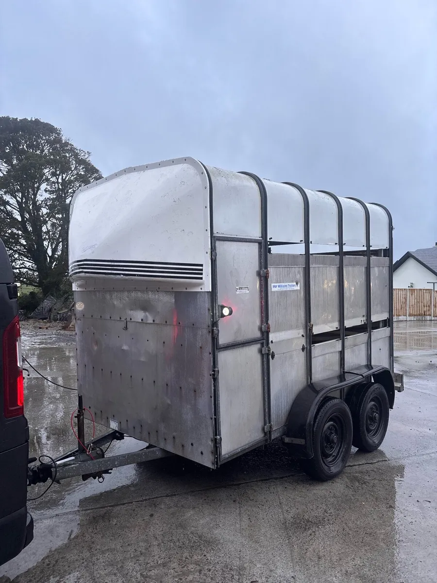 10x6 Ivor Williams livestock trailer - Image 4