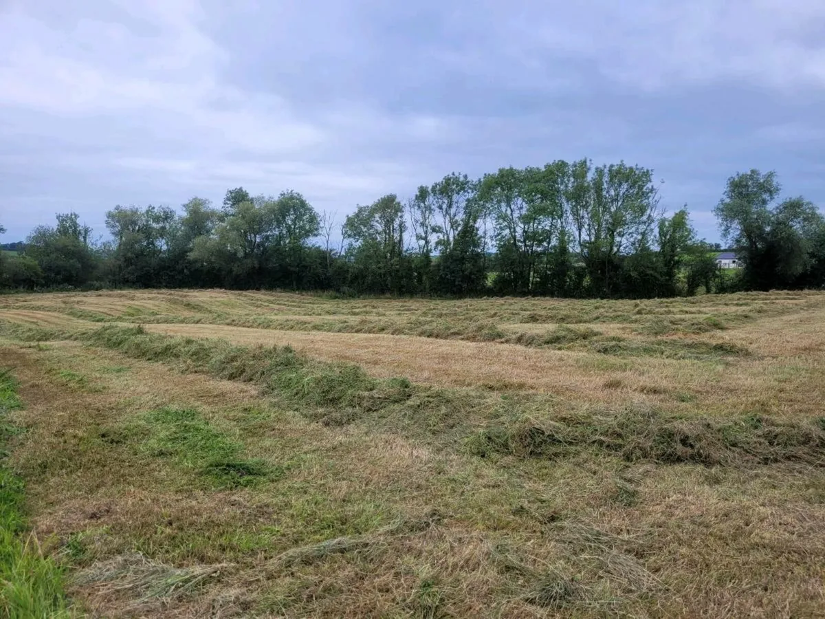 Silage Bales - Image 2
