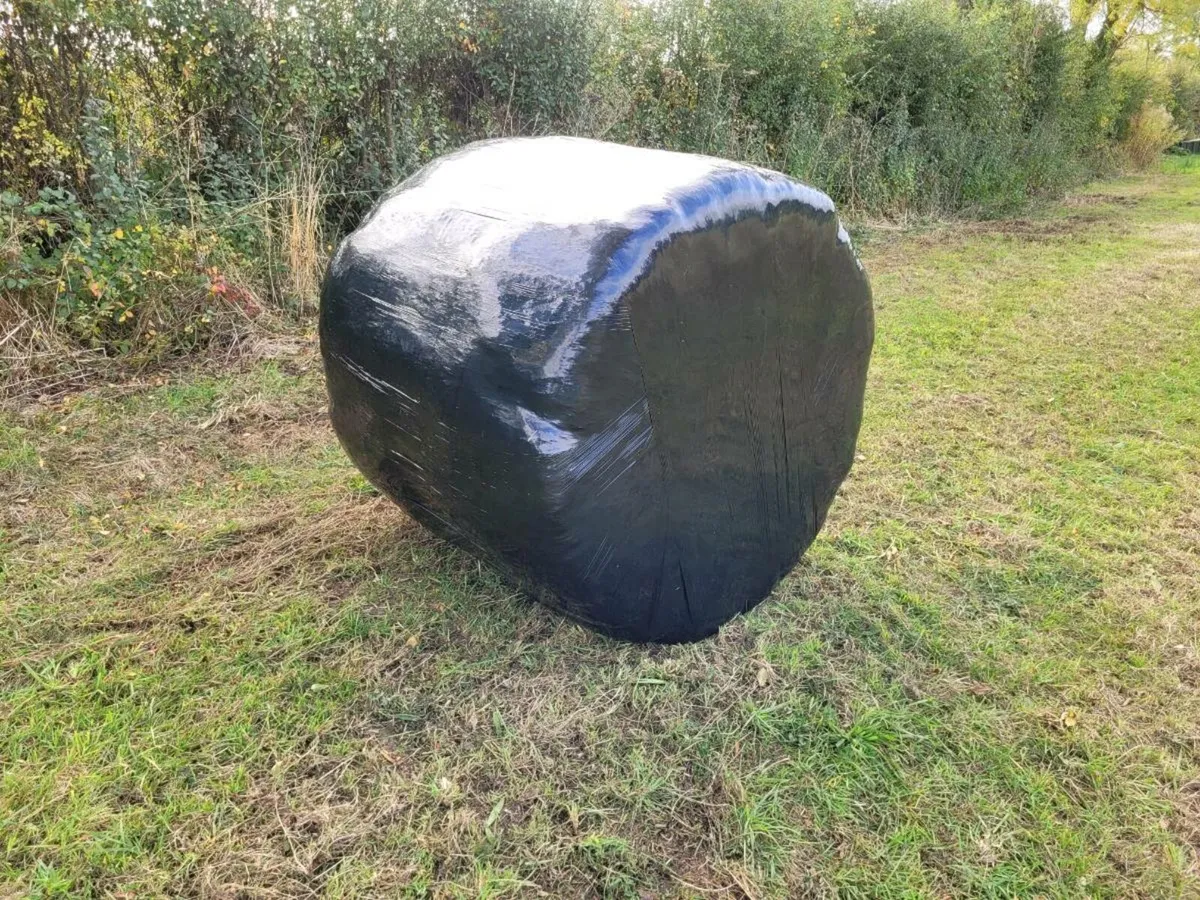 Silage Bales - Image 1