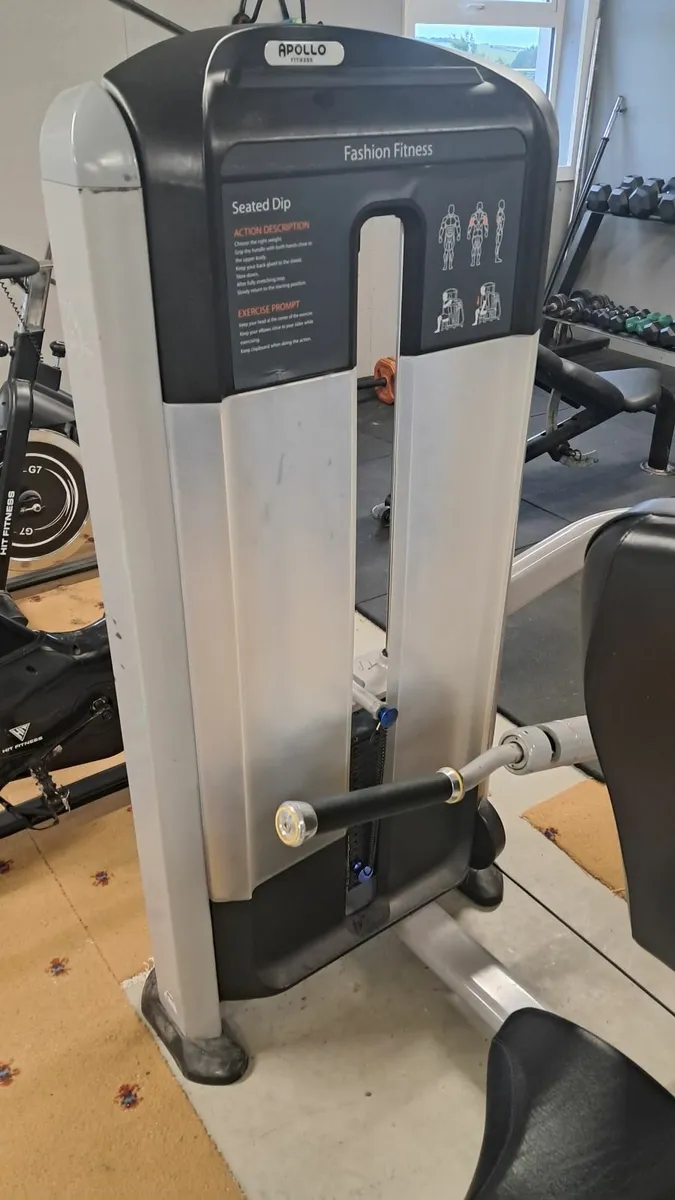 Apollo Lat pulldown and tricep extension - Image 2