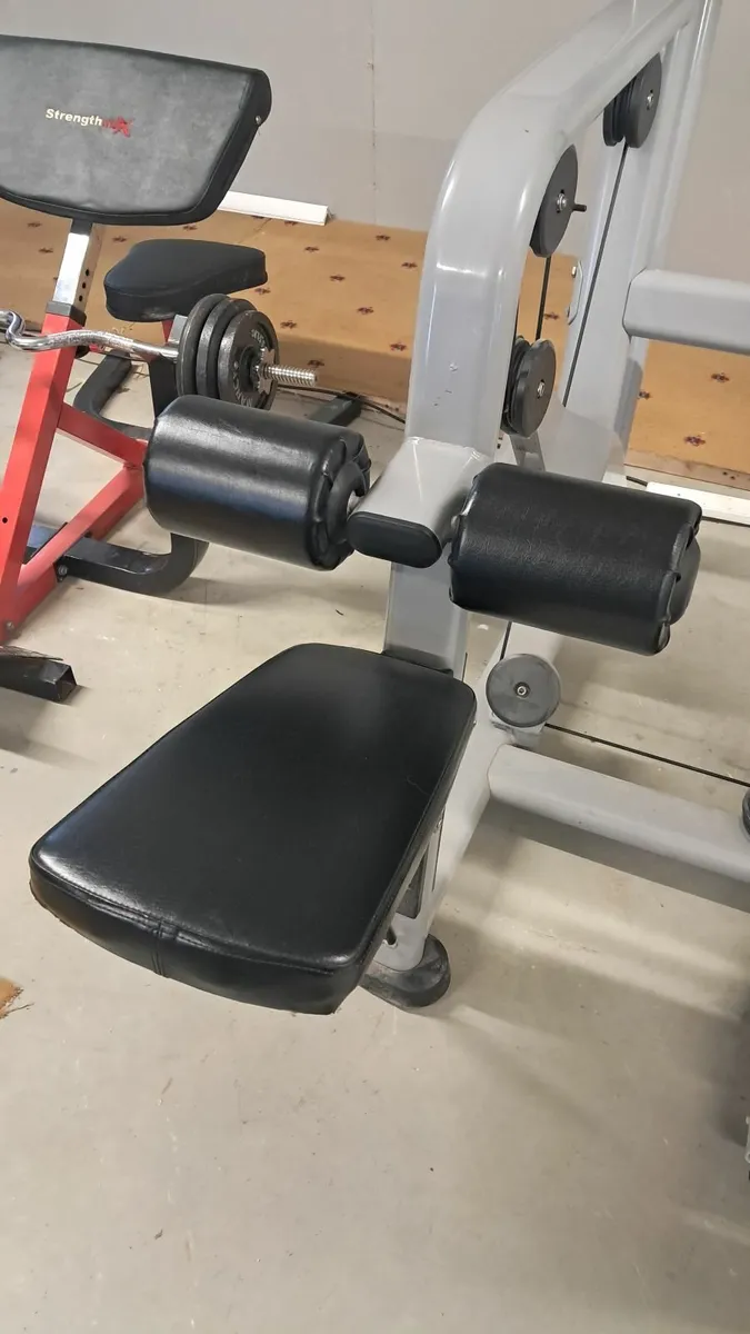 Apollo Lat pulldown and tricep extension - Image 3