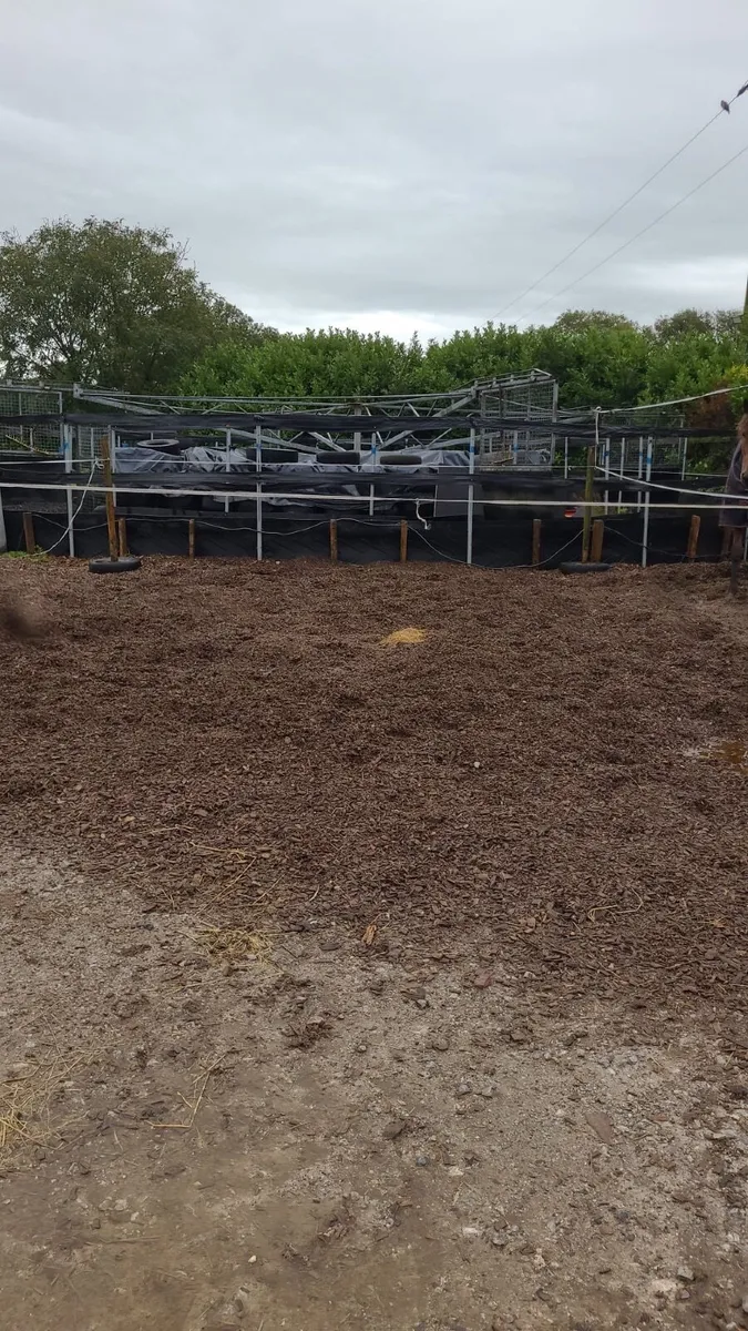 Wood chip/ bark mulch - Image 2