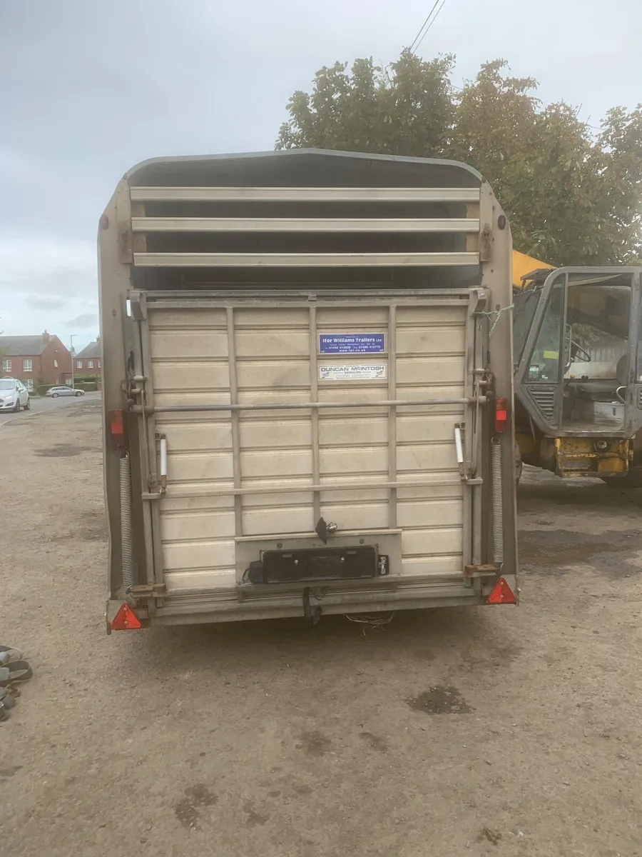 Ifor Williams 12ft high roof cattle trailer - Image 2