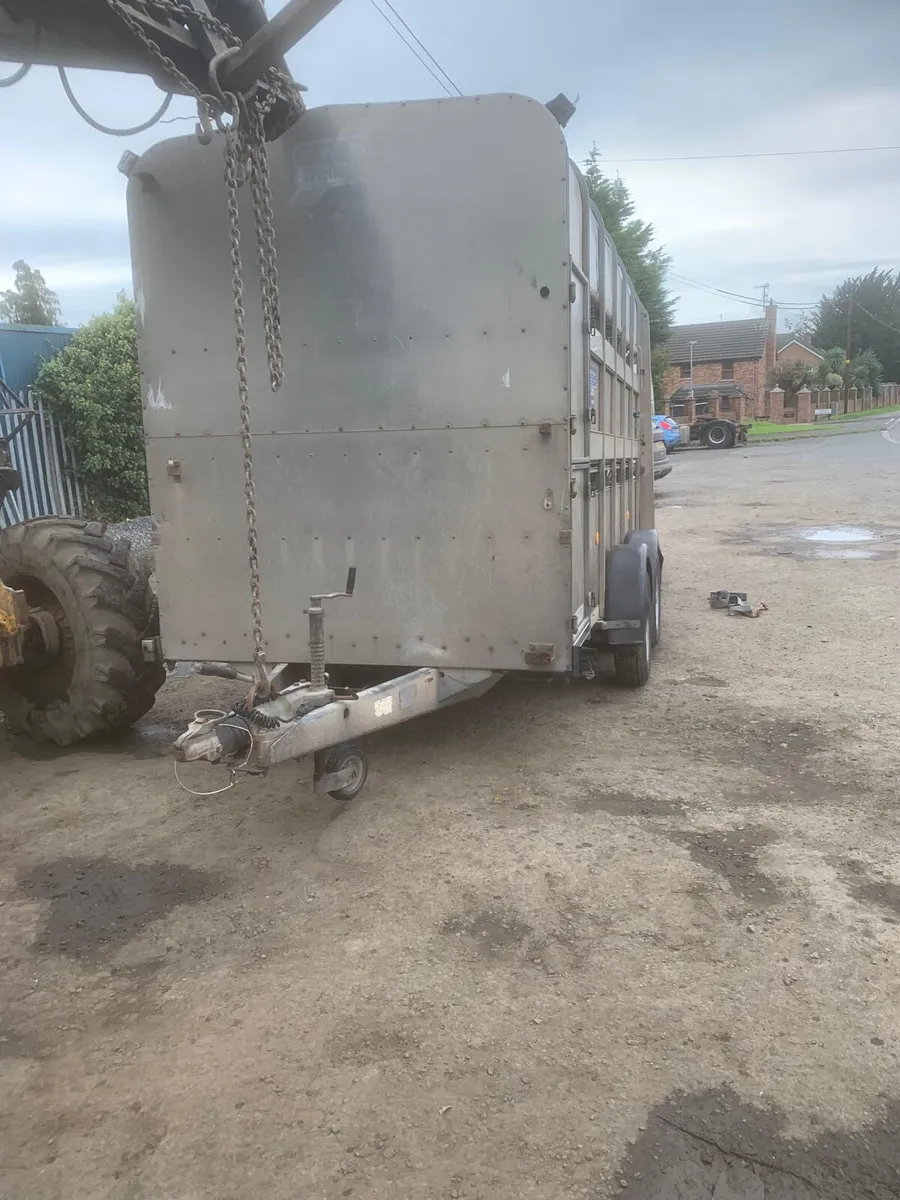 Ifor Williams 12ft high roof cattle trailer - Image 1